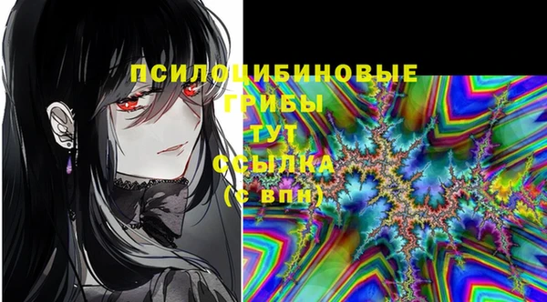 ECSTASY Алзамай