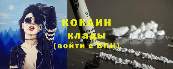 ECSTASY Алзамай