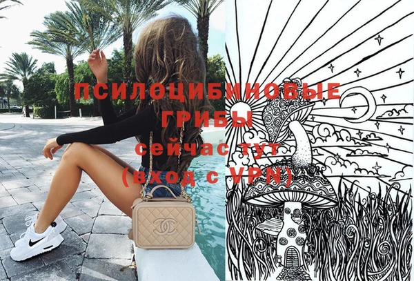 стафф Абинск