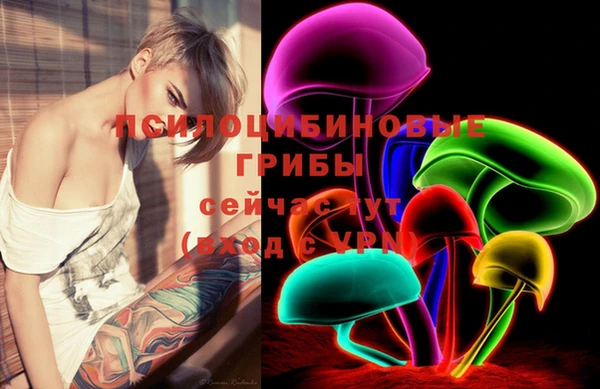 стафф Абинск