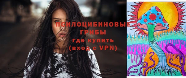 прущий лед Абаза
