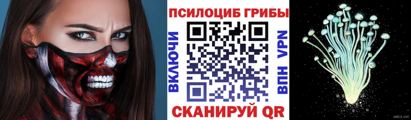 Галлюциногенные грибы Psilocybe  наркотики  Сысерть 